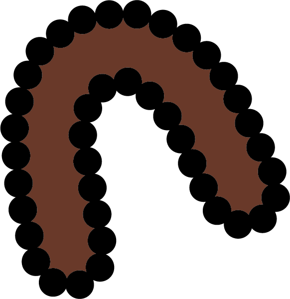 Sitting Brown@20x