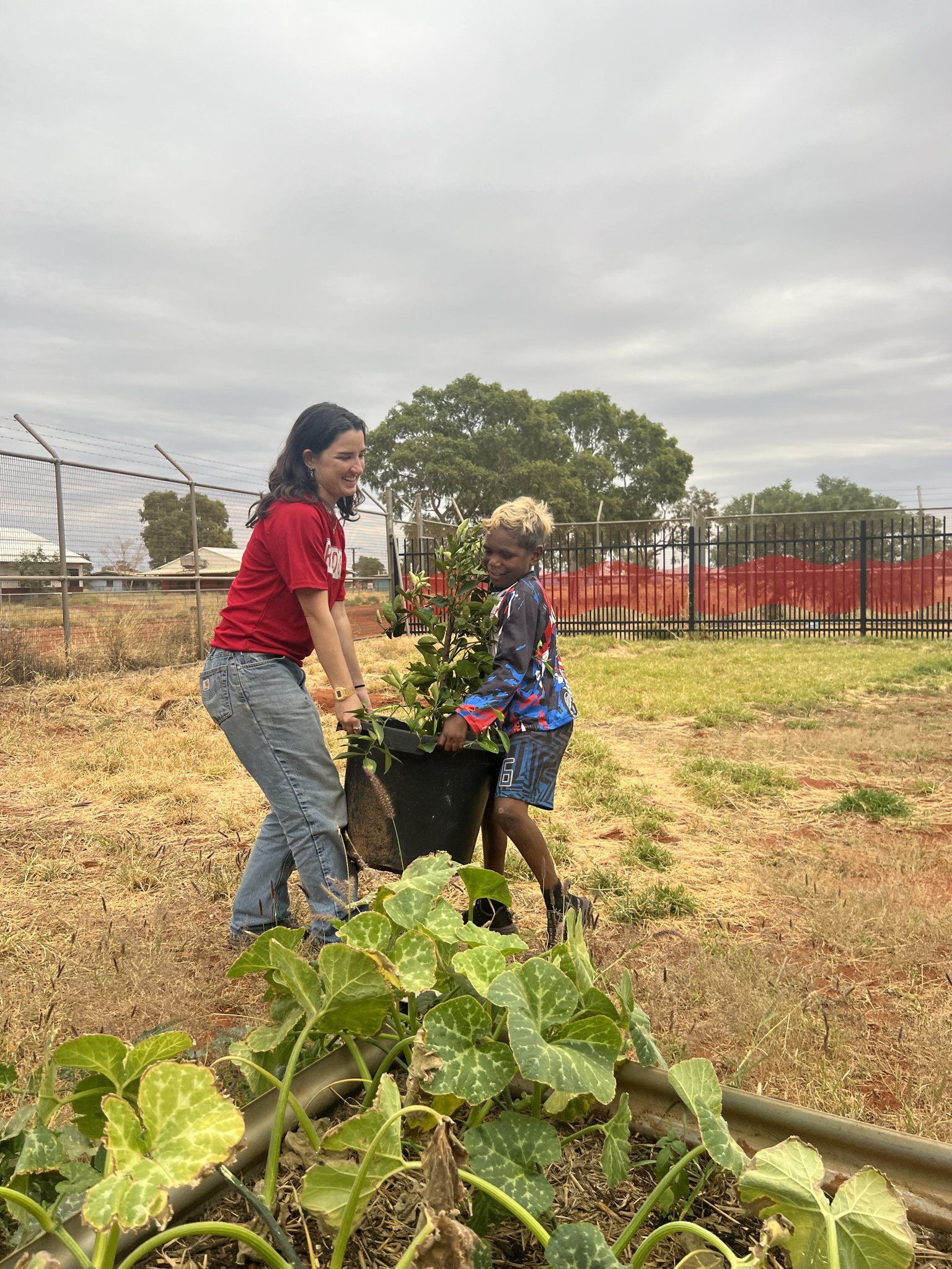 Kintore Planting 2