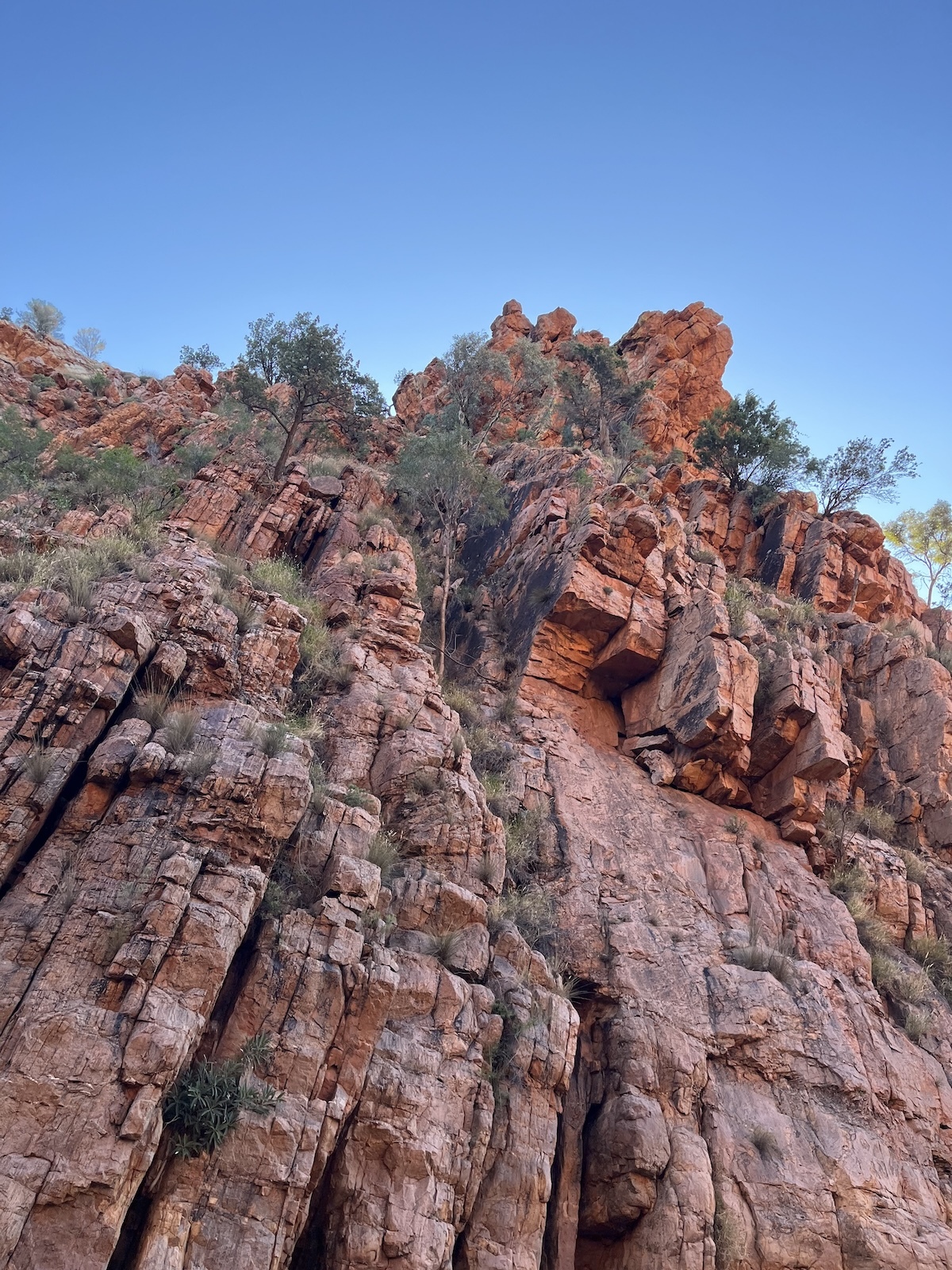 On-Country immersive program with Red Dust