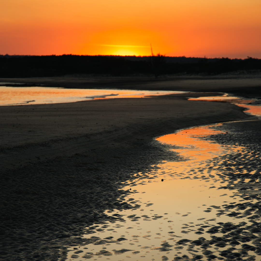 Tiwi seascape