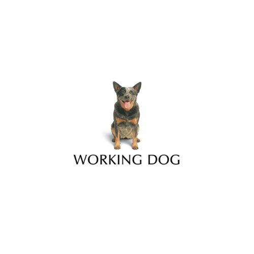 Working Dog